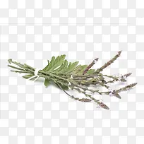 ���޲��������-������