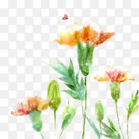 唯美的水彩花-空若网 唯美的水彩花-空若网