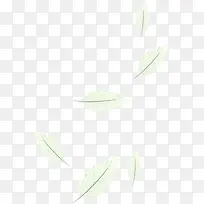 白色轻飘羽毛-空若网 白色轻飘羽毛-空若网