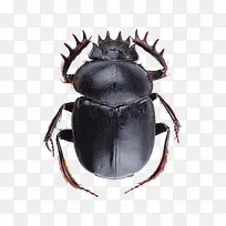 Ò»Ö»À¥³æ-¿ÕÈôÍø Ò»Ö»À¥³æ-¿ÕÈôÍø