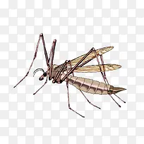 ��������-������