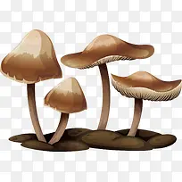 香菇矢量修饰-空若网 香菇矢量修饰-空若网