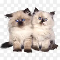 手绘动物图片手绘图片-空若网 手绘动物图片手绘图片-空若网