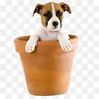 ��ͨ�����زĶ���ͼƬ�ز�-������