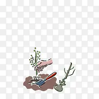 种树-空若网 种树-空若网