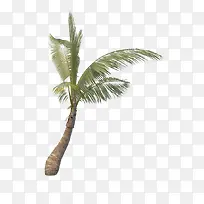 �ȴ�ֲ���ز�-������