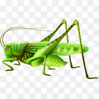 ×°ÊÎͼ°¸-¿ÕÈôÍø ×°ÊÎͼ°¸-¿ÕÈôÍø