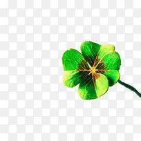 幸运四叶草免抠素材-空若网 幸运四叶草免抠素材-空若网