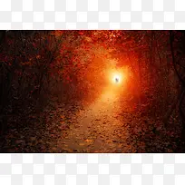 摄影秋季风景光晕-空若网 摄影秋季风景光晕-空若网