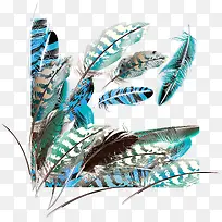 羽毛素材-空若网 羽毛素材-空若网