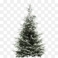 ѩ������-������