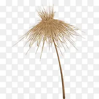 草制雨伞-空若网 草制雨伞-空若网