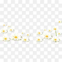 小雏菊底边插画矢量图-空若网 小雏菊底边插画矢量图-空若网