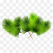 碧绿的树枝-空若网 碧绿的树枝-空若网