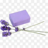 ޹�²��ֹ���-������