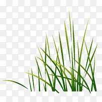 С�ݣ���ݣ�Ԫ��-������