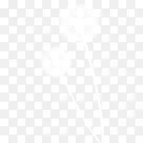 白色蒲公英素材-空若网 白色蒲公英素材-空若网