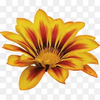 Êֻ滨»ÜpsËØ²Ä-¿ÕÈôÍø Êֻ滨»ÜpsËØ²Ä-¿ÕÈôÍø