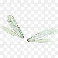 手绘蜻蜓翅膀装饰-空若网 手绘蜻蜓翅膀装饰-空若网
