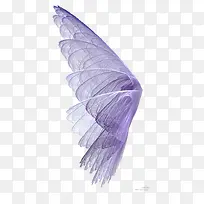 翅膀元素-空若网 翅膀元素-空若网