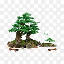 ǧ������߶��辰-������