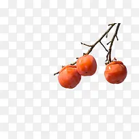 黄色柿子-空若网 黄色柿子-空若网