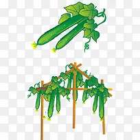 黄瓜矢量图-空若网 黄瓜矢量图-空若网