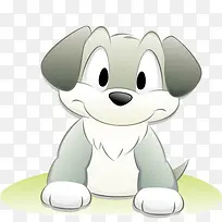 ��ͨ���ز�-������