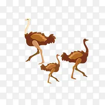 矢量卡通简洁扁平化鸵鸟png-空若网 矢量卡通简洁扁平化鸵鸟png-空若网
