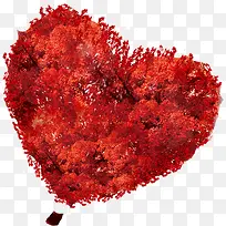 ����ë�����-������