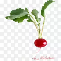 ��԰�ܲ���-������