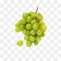 白葡萄免抠装饰水果素材-空若网 白葡萄免抠装饰水果素材-空若网