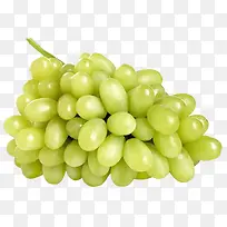 °×ÆÏÌÑË®¹ûÉè¼ÆËØ²Ä-¿ÕÈôÍø °×ÆÏÌÑË®¹ûÉè¼ÆËØ²Ä-¿ÕÈôÍø