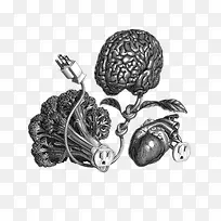 人脑细胞插画-空若网 人脑细胞插画-空若网