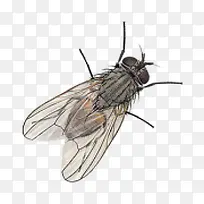 ²ÔÓ¬-¿ÕÈôÍø ²ÔÓ¬-¿ÕÈôÍø