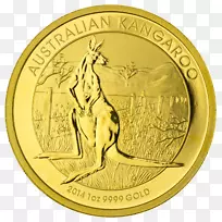 金币澳大利亚金块金币拉克希米金币-空若网 金币澳大利亚金块金币拉克希米金币-空若网