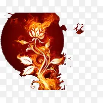 燃烧的玫瑰-空若网 燃烧的玫瑰-空若网