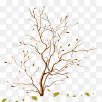 ��֦ͼ��-������