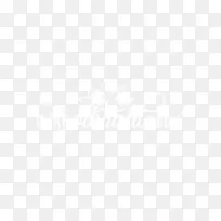 电子邮件联合国大学计算机与社会商业计算机软件信息研究所-生机勃勃-空若网 电子邮件联合国大学计算机与社会商业计算机软件信息研究所-生机勃勃-空若网