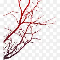 ����֦-������