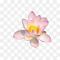 摄影荷花-空若网 摄影荷花-空若网