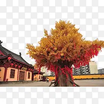 ·ð½ÌËÂÃí×°ÊÎÉè¼ÆÃâ¿ÙÃâ·ÑÏÂÔØ-¿ÕÈôÍø ·ð½ÌËÂÃí×°ÊÎÉè¼ÆÃâ¿ÙÃâ·ÑÏÂÔØ-¿ÕÈôÍø