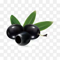 橄榄-空若网 橄榄-空若网