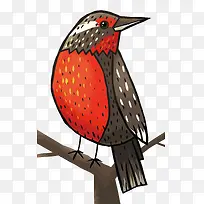 矢量红肚子小鸟-空若网 矢量红肚子小鸟-空若网