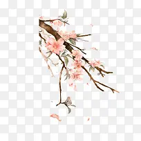 桃花素材修饰-空若网 桃花素材修饰-空若网