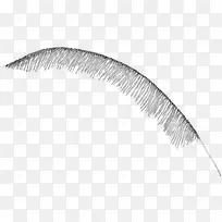 简单白色羽毛-空若网 简单白色羽毛-空若网