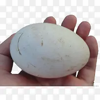 ���ô�쵰-������