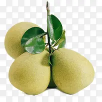 沙田柚PNG素材-空若网 沙田柚PNG素材-空若网