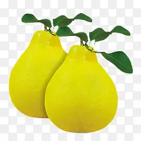 新鲜柚子-空若网 新鲜柚子-空若网