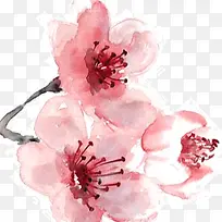 樱花树枝精美背景-空若网 樱花树枝精美背景-空若网